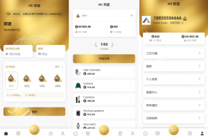商业运营版本2025全新源码海外多语言 抢单刷单系统 连单卡单 刷单抢单源码 UI PHP